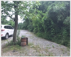  2017Ÿ��3942 �泲 ���걺 �ž�� ������ 403      ����(��1)���