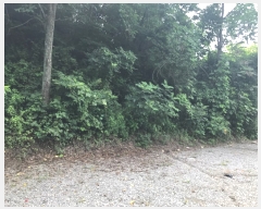  2017Ÿ��3942 �泲 ���걺 �ž�� ������ 403      ����(��1)���