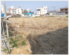  2017Ÿ7041  ׽ ϱ  긮 137-1     ()