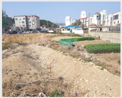  2017Ÿ7041  ׽ ϱ  긮 137-1     ()