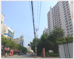 2017Ÿ503209  Ʈ