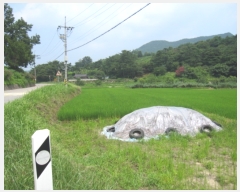  2017Ÿ��5074 �泲 ��û�� �žȸ� �žȸ� 499-32      ����(��)���