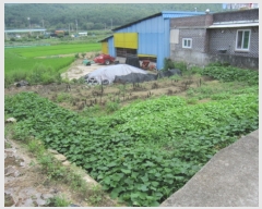  2017Ÿ��5074 �泲 ��û�� �žȸ� �žȸ� 499-32      ����(��)���