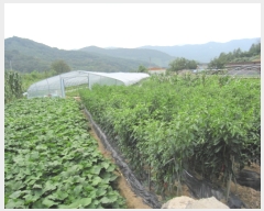  2017Ÿ��5074 �泲 ��û�� �žȸ� �žȸ� 499-32      ����(��)���