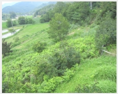  2017Ÿ��5074 �泲 ��û�� �žȸ� �žȸ� 499-32      ����(��)���