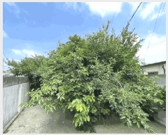  2017Ÿ446    1688-5       ð