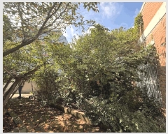  2017Ÿ446    1688-5       ð