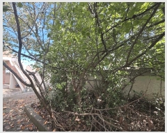  2017Ÿ446    1688-5       ð