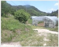  2017Ÿ��4680 ���� ������ ȸõ�� ���긮 124-1      ����(��1)���