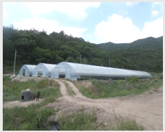  2017Ÿ��4680 ���� ������ ȸõ�� ���긮 124-1      ����(��1)���