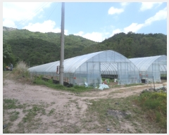  2017Ÿ��4680 ���� ������ ȸõ�� ���긮 124-1      ����(��1)���