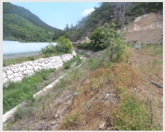  2017Ÿ��4680 ���� ������ ȸõ�� ���긮 124-1      ����(��1)���