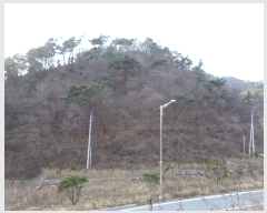  2017Ÿ��12148 ���� ������ ������ �ߵ��� 1035      ����(��)���