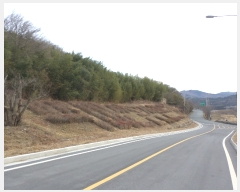  2017Ÿ��12148 ���� ������ ������ �ߵ��� 1035      ����(��)���