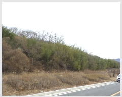  2017Ÿ��12148 ���� ������ ������ �ߵ��� 1035      ����(��)���