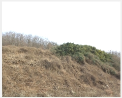  2017Ÿ��12148 ���� ������ ������ �ߵ��� 1035      ����(��)���