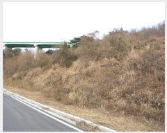  2017Ÿ��12148 ���� ������ ������ �ߵ��� 1035      ����(��)���