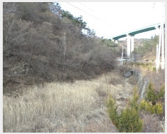  2017Ÿ��12148 ���� ������ ������ �ߵ��� 1035      ����(��)���