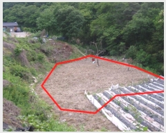  2017Ÿ��5704 ���� ���ֽ� �ϻ걸 �뼺�� 520      ����(��)���