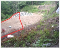  2017Ÿ��5704 ���� ���ֽ� �ϻ걸 �뼺�� 520      ����(��)���