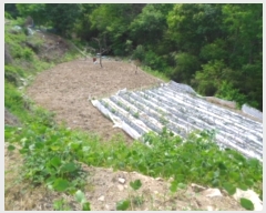  2017Ÿ��5704 ���� ���ֽ� �ϻ걸 �뼺�� 520      ����(��)���