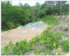  2017Ÿ��5704 ���� ���ֽ� �ϻ걸 �뼺�� 520      ����(��)���