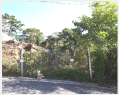  2018Ÿ��7062 ���� ���α� ��â�� 543-4       ����(����)���