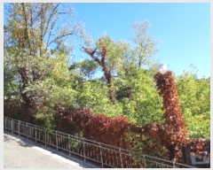  2018Ÿ��7062 ���� ���α� ��â�� 543-4       ����(����)���