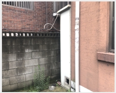  2018Ÿ��52805 ���� ������ ��䵿 123-7       ���ð��