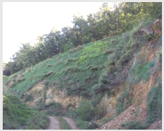  2018Ÿ��8069 ��� ������ ����� ����� 62-11      ����(�Ӿ�)���