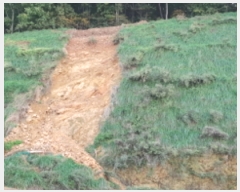  2018Ÿ��8069 ��� ������ ����� ����� 62-11      ����(�Ӿ�)���