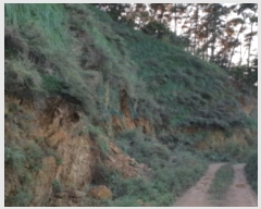  2018Ÿ��8069 ��� ������ ����� ����� 62-11      ����(�Ӿ�)���