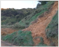  2018Ÿ��8069 ��� ������ ����� ����� 62-11      ����(�Ӿ�)���