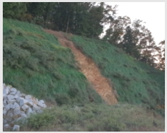  2018Ÿ��8069 ��� ������ ����� ����� 62-11      ����(�Ӿ�)���