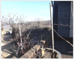  2018Ÿ��27385 ��� ���ν� ó�α� ������ ��â�� 423-5     ���ð��