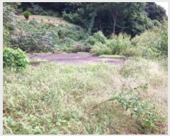  2018Ÿ��12857  �Ӿ߰��