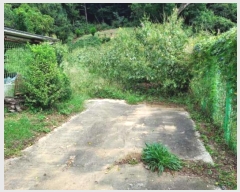  2018Ÿ��12857  �Ӿ߰��