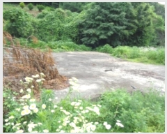  2018Ÿ��12857  �Ӿ߰��