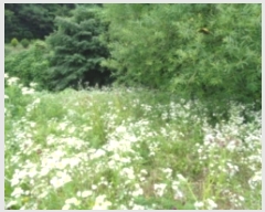  2018Ÿ��12857  �Ӿ߰��