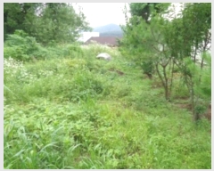  2018Ÿ��12857  �Ӿ߰��