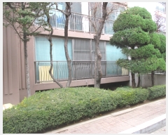  2018Ÿ515936  Ʈ