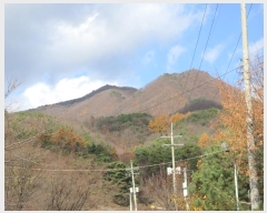  2018Ÿ��33607 ��� ���� ��õ�� ��õ�� ��43      ����(�Ӿ�)���