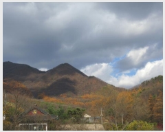  2018Ÿ��33607 ��� ���� ��õ�� ��õ�� ��43      ����(�Ӿ�)���