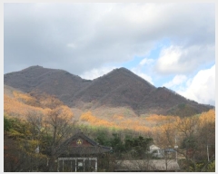  2018Ÿ��33607 ��� ���� ��õ�� ��õ�� ��43      ����(�Ӿ�)���