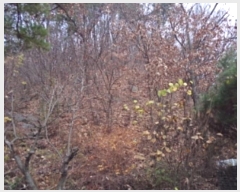  2018Ÿ��33607 ��� ���� ��õ�� ��õ�� ��43      ����(�Ӿ�)���