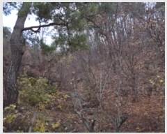  2018Ÿ��33607 ��� ���� ��õ�� ��õ�� ��43      ����(�Ӿ�)���