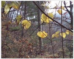  2018Ÿ��33607 ��� ���� ��õ�� ��õ�� ��43      ����(�Ӿ�)���