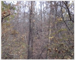  2018Ÿ��33607 ��� ���� ��õ�� ��õ�� ��43      ����(�Ӿ�)���