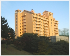  2018Ÿ8277  ȼ 缺  163-21 ũھȼ 3307ȣ    ܵ(ȣ)