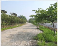  2018Ÿ��2571 �泲 ȫ���� ���θ� ���� 4-1      ������